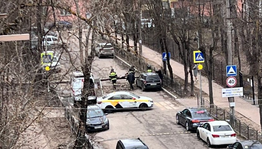 В Калуге дерево упало на машину возле школы №10