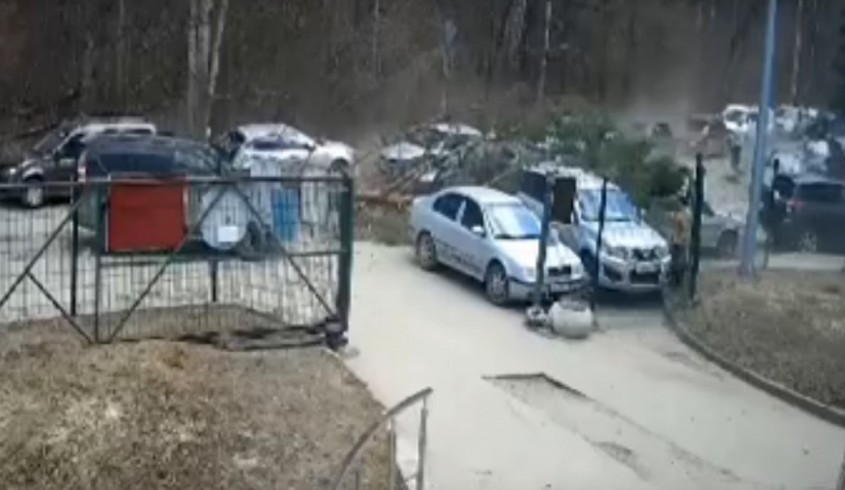 В Калуге на видео попал момент падения дерева на машины