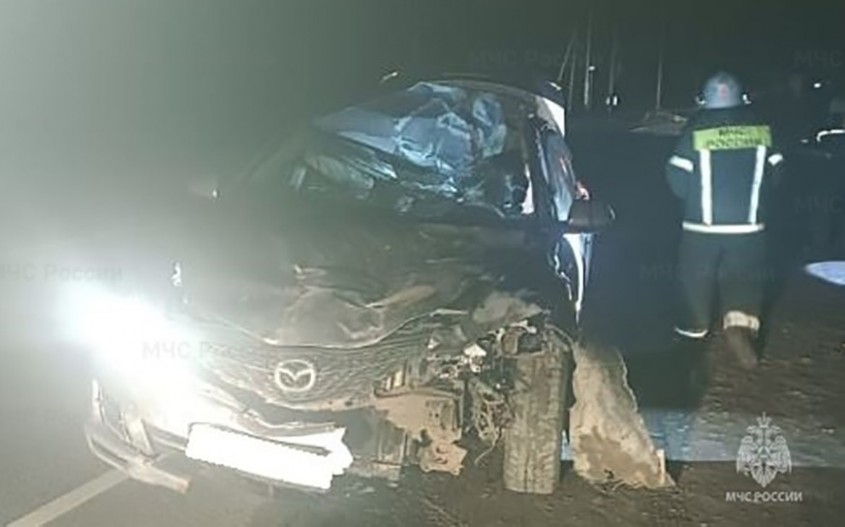Мужчина и женщина пострадали в аварии с лосем на калужской трассе