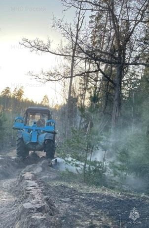 Первый лесной пожар произошел в Калужской области
